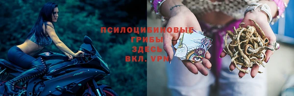стафф Алзамай