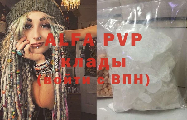 стафф Алзамай