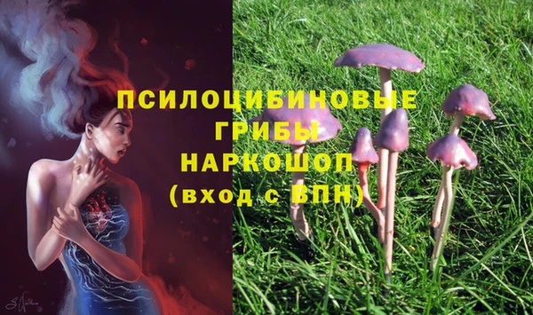 тгк Алексеевка