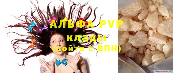 стафф Алзамай