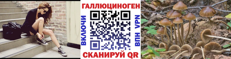 сколько стоит  Нурлат  Галлюциногенные грибы мицелий 